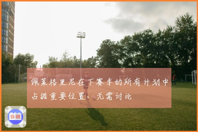 佩莱格里尼在下赛季的所有计划中占据重要位置，无需讨论
